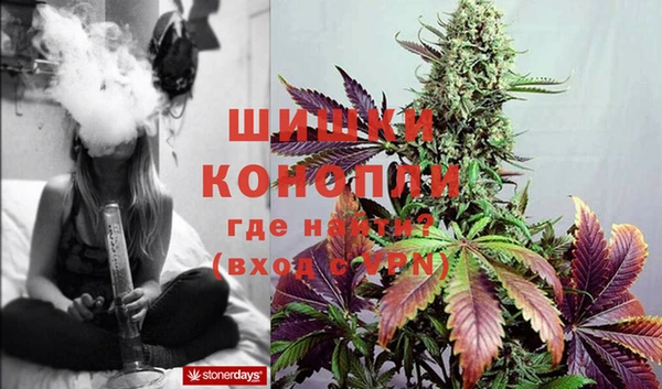 кокс Дмитриев