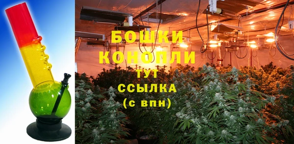 винт Гусев