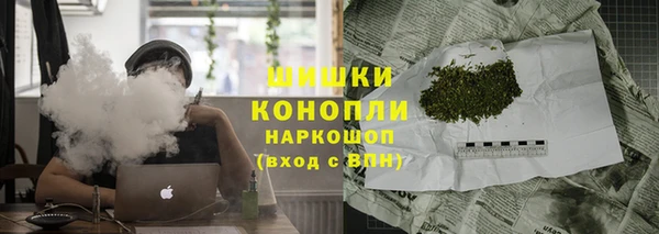 винт Гусев