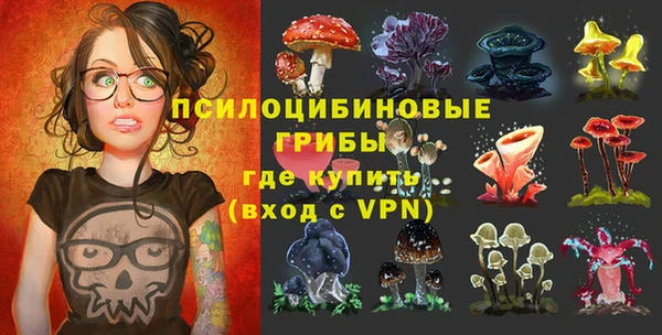 бошки Гусиноозёрск
