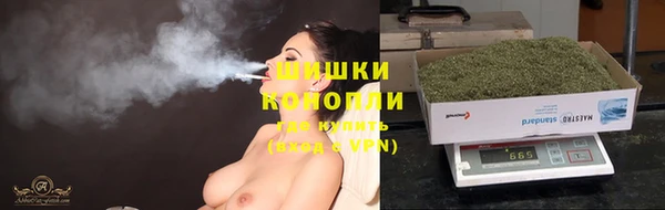 винт Гусев