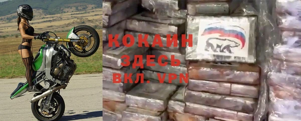 винт Гусев