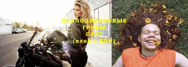 бошки Гусиноозёрск