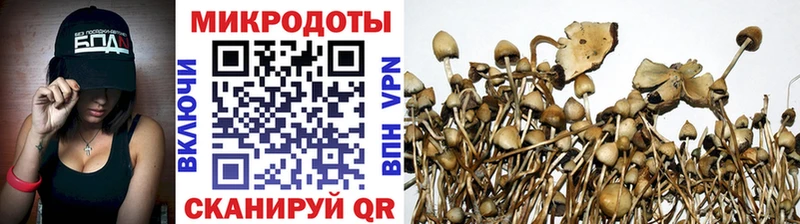 Псилоцибиновые грибы ЛСД Юрюзань